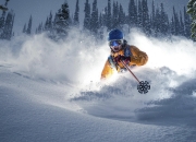 詹姆斯在塞尔维亚队比赛中重返赛场，败北引发热议！全场沸腾不已