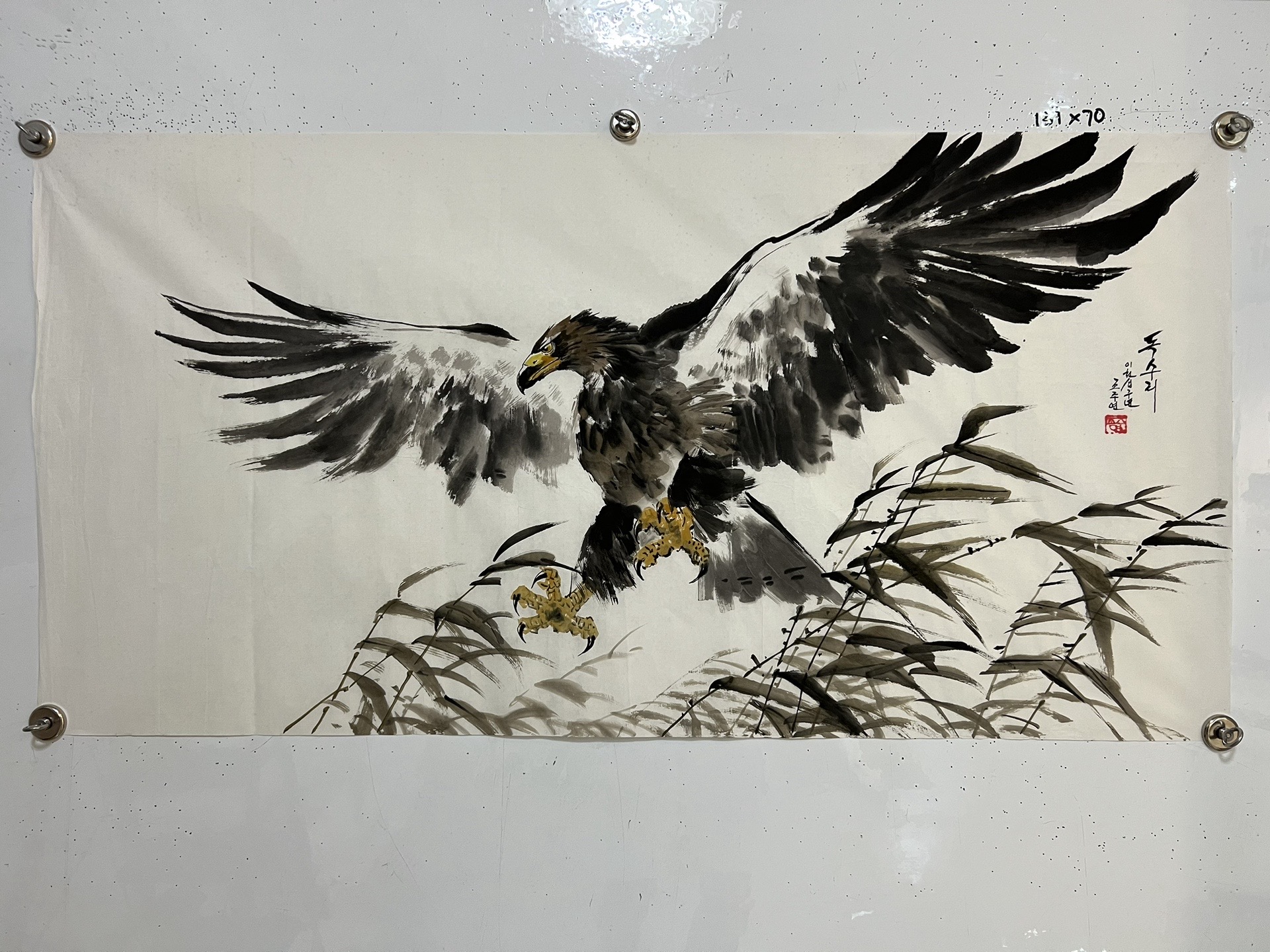 老鹰险胜掀起高潮,官方宣布新规关键表现点燃全场! 老鹰险胜掀起高潮,官方宣布新规关键表现点燃全场!